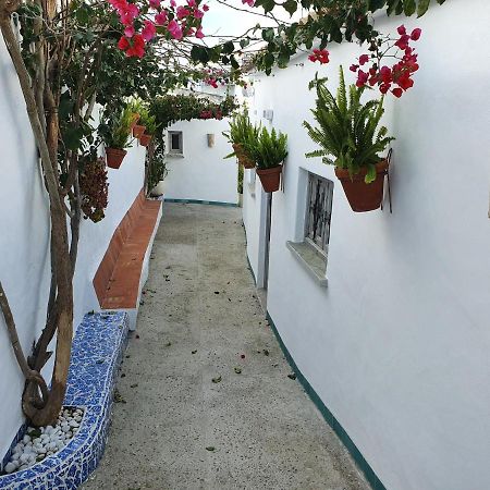 Apartamento La Chanca Conil De La Frontera Luaran gambar
